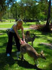 australia200943