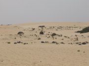 fuerteventura200613