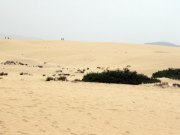 fuerteventura200614