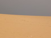 fuerteventura200615