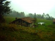gardo200602