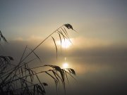 lago-di-montorfano-particolare-19