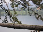 lago-di-montorfano-particolare