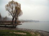 tn_lago-di-montorfano-particolare-23